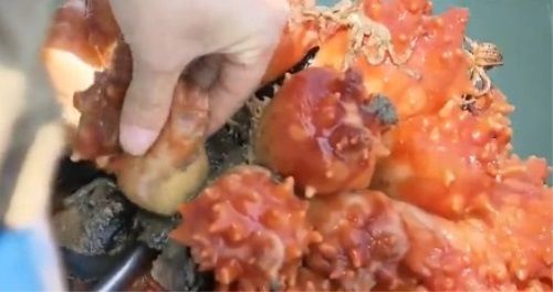 사진=방송캡처 사진=방송캡처