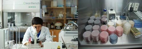 제품 현지화를 위한 농가식품의 R&D 센터 자료:세계김치연구소