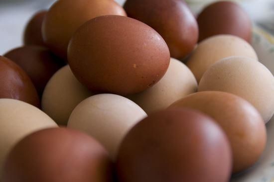 (사진) 비타민B 등 다양한 영양소가 많이 들어 있는 계란'