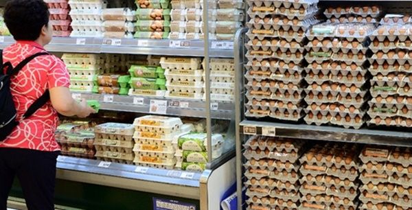 (사진) 국내산 달걀의 살충제 검출 파문으로 유통업계들은 15일 판매중단을 결정했다