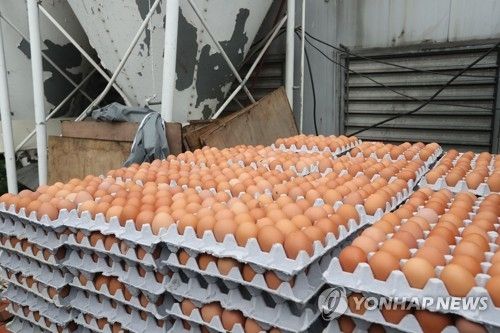(사진) 계란 살충제 파문으로 국민들의 먹거리에 대한 불안감이 증폭되고 있다. 
